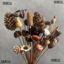 ���U�ʾ��ɹ����ﻨ�ɹ�ɏ���^�廨�����޻��͏dd����[���b�