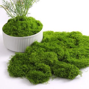 Moss Turf Landscaping Bionic Fake Moss Micro Landscape Arrangement Ornaments Lawn Bonsai Potted Plant Pavement Decoration