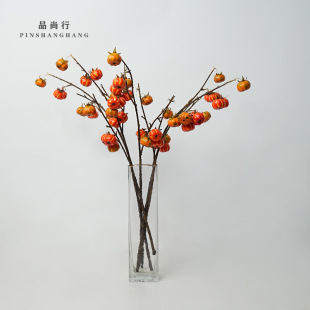 ��ɫС�Ϲ��ﶬ���� �����껨 �������ֱ�N�Ҿ��Ĕz���߻�ˇ����