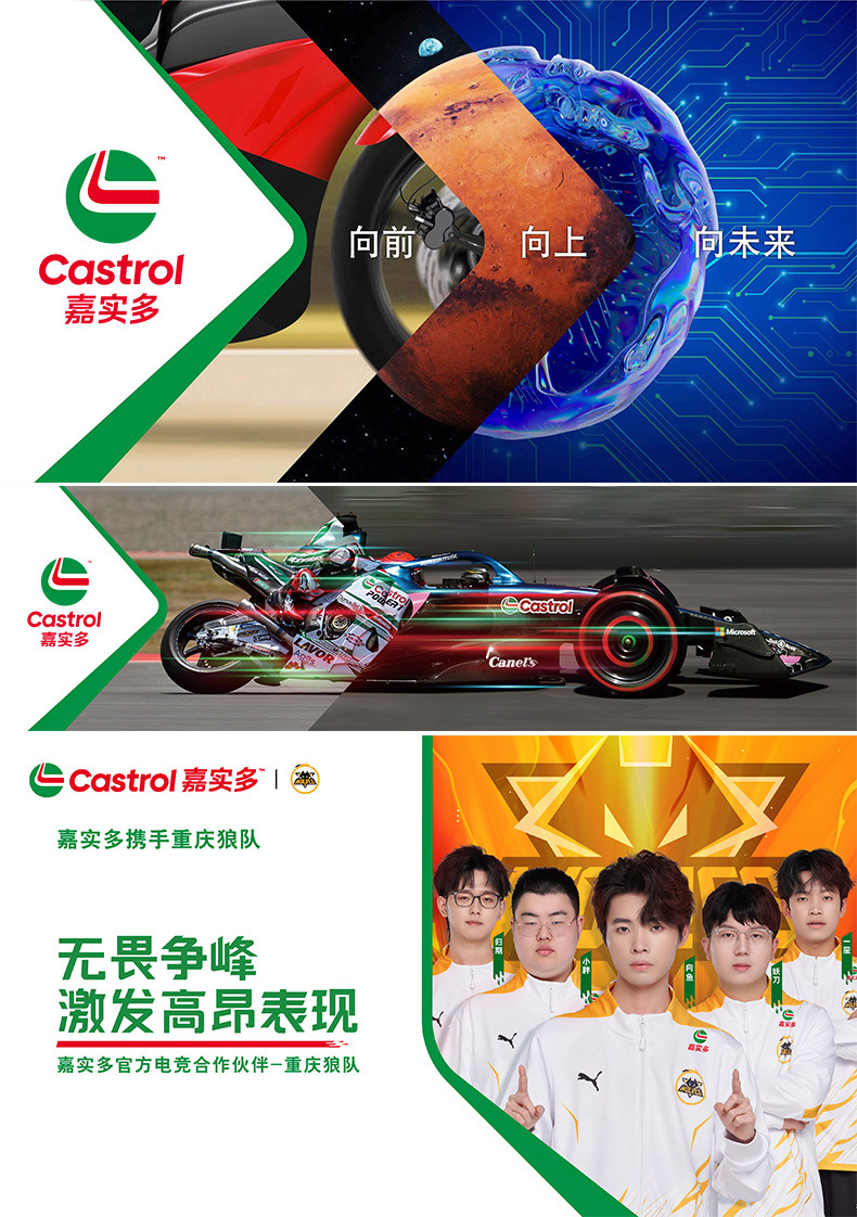 Fuel Treasure Removes Carbon Deposits, Gasoline Fuel Additive, Engine Improves Power, Reduces Fuel Consumption, Maintenance Type