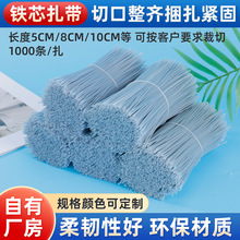 铁芯捆扎PE包胶铁线镀锌包塑扎丝适用耳机灯具数据线材捆扎线