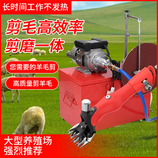 ����ԣ˼��WE-88�T䓴���ܛ�S��ë��늄Ӽ�ë�C����Ӽ�ëĥ��һ