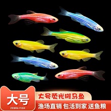 �Ꭷ�^�p���~���B��ɏ�����R��ˮ���~����ʹ��ȸС�ͼt�G����С�~