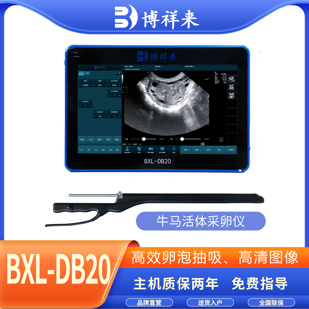 牛用活体采卵仪 博祥来OPU牛马采卵B超机 BXL-DB20高效活体采卵B