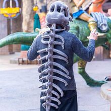 ����ͬ������Ǽ�ͷ�׸��װ��ë�����cosplay����԰�����ñ��