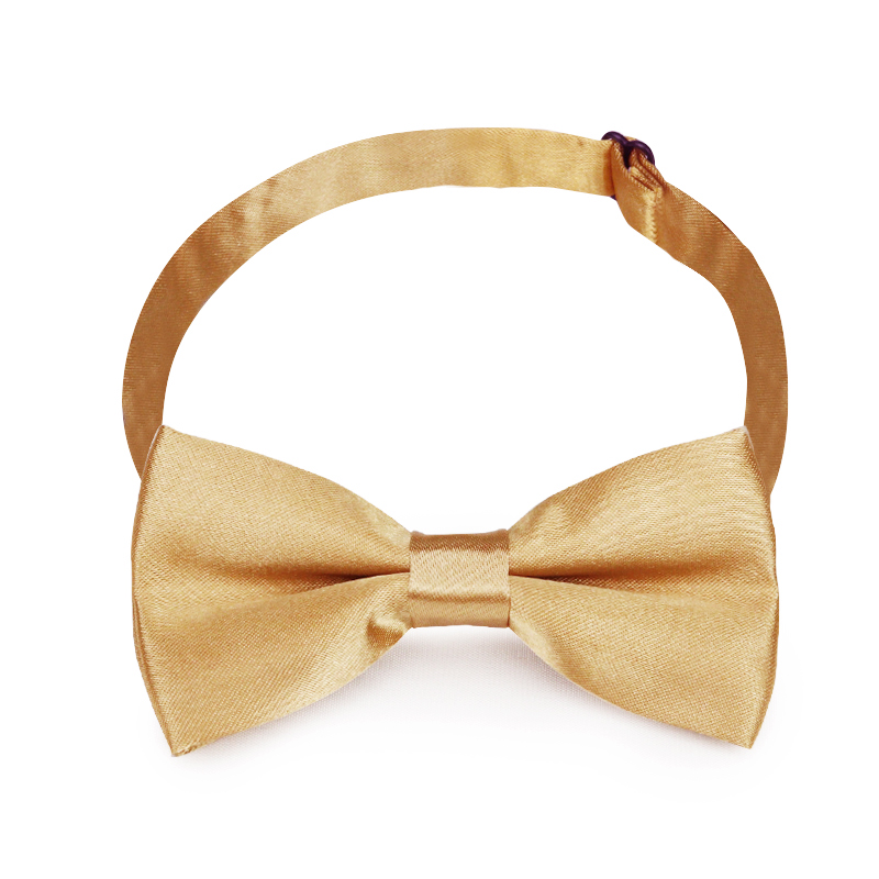 샴페인 어린이 나비 넥타이