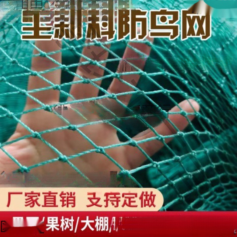 防鸟用网果树樱桃葡萄大棚果园农用防鸟网鱼塘养殖天网尼龙防老化