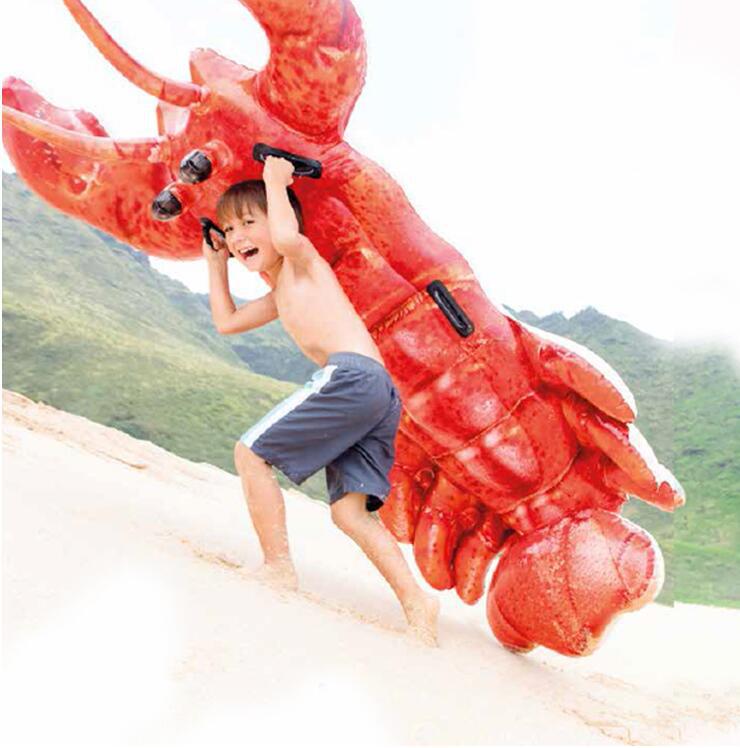 HLB1WJdrRHvpK1RjSZPiq6zmwXXa2