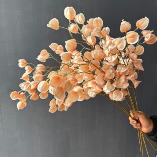 ���滨���\�� ��� �ٻ��ɻ��[�O��ɫϵ�b��p�ݻ�c������ˇ�[��