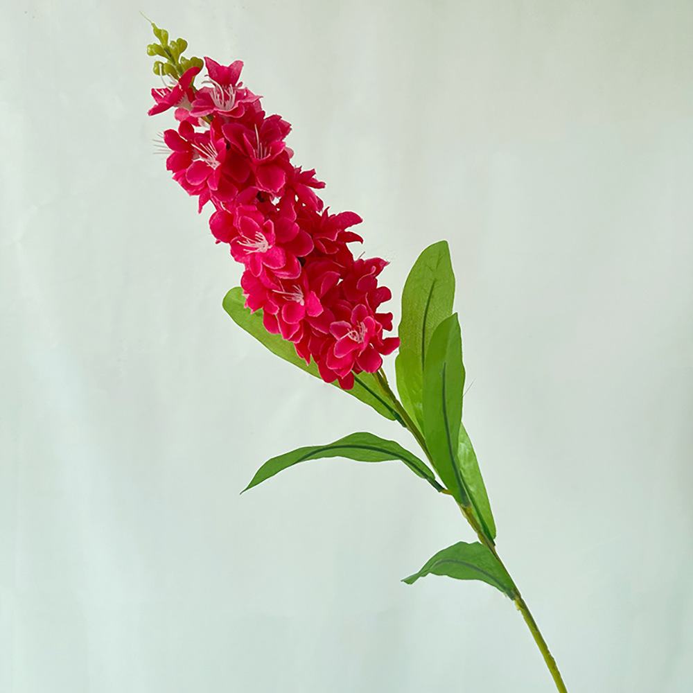 작은 보라색 장미