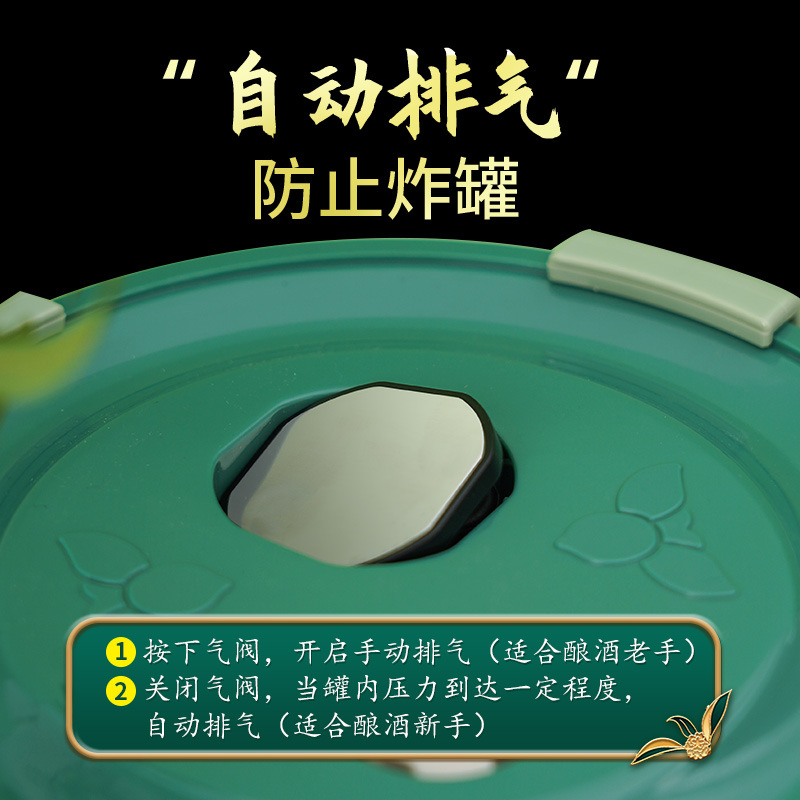 Botella de vidrio para remojar vino, vino de frutas casero de ciruela verde y bayberry, tarro sellado de calidad alimentaria, encurtidos de granos mixtos, tarro para remojar vino, vino medicinal.