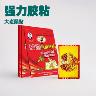Rodent Glue Traps Strong Adhesive Large Mouse Glue Traps Mouse Glue Traps Direct Sale from Manufacturer 100 Pieces