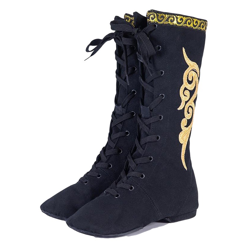 Botas de baile Xizangas para hombres y mujeres Zapatos de baile mongoles Botas de montar Botas de rendimiento de danza mongol Botas de examen de Arte de clasificación