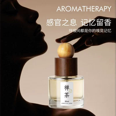Long-Lasting Fragrance Car Odor Removal | Car Perfume Aromatherapy