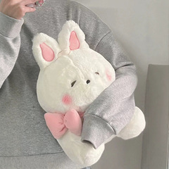 可爱小红书面包兔公仔毛绒兔子玩偶女生玩具生日礼物睡觉抱枕娃娃