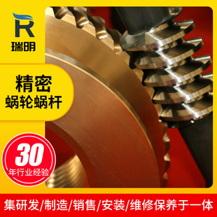 Precision worm gear and worm secondary envelope toroidal worm supporting turbine precision screw gear shaft manufacturer supply