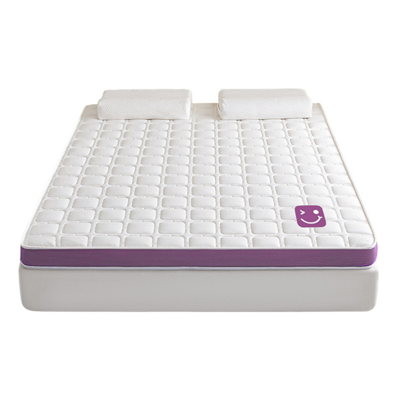 Colchón de espuma viscoelástica de látex, cojín suave individual para dormitorio, tapete de esponja de tatami, cojín especial para cama de alquiler