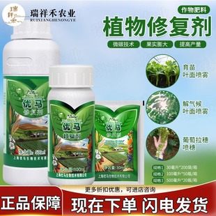 �������R�ޏ̈́�ֲ���ș���ߜ؃������������I�B�~���