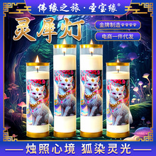 �����x���`Ϭ���}����ֲ�����Ͷ��T��ǰ�����Y��Ϟ�T���o���L����