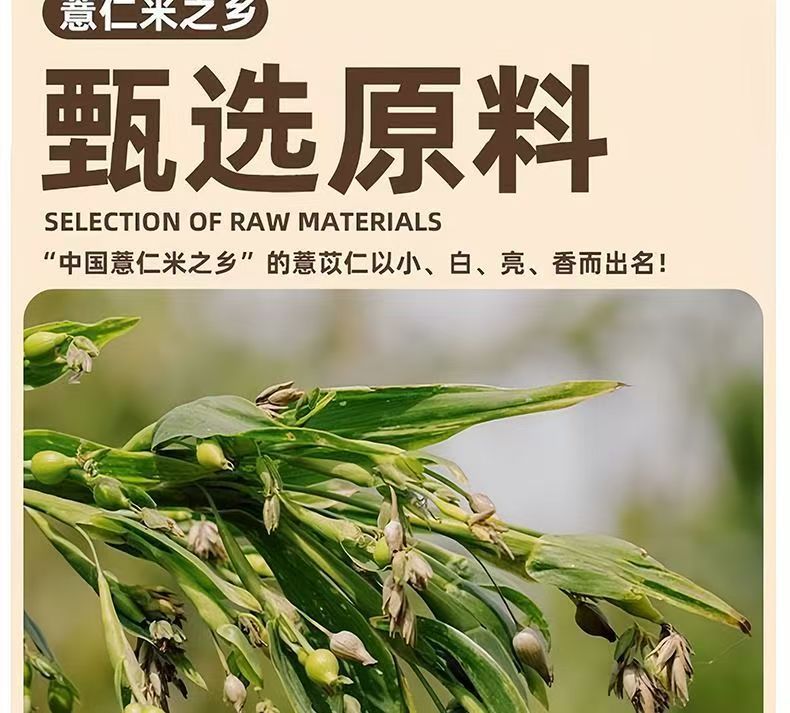 Roasted Coix Seed Yi Yi Ren Snack Crispy Ready to Eat No Additives 100g quality and texture