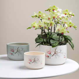 新中式陶瓷花盆三件套高颜值桌面花盆家用阳台绿植盆蝴蝶兰专用盆