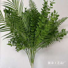 ɭϵ��Y���Ϸ��滨 �Gɫɭ�����}��Y�õ���b��������ò廨