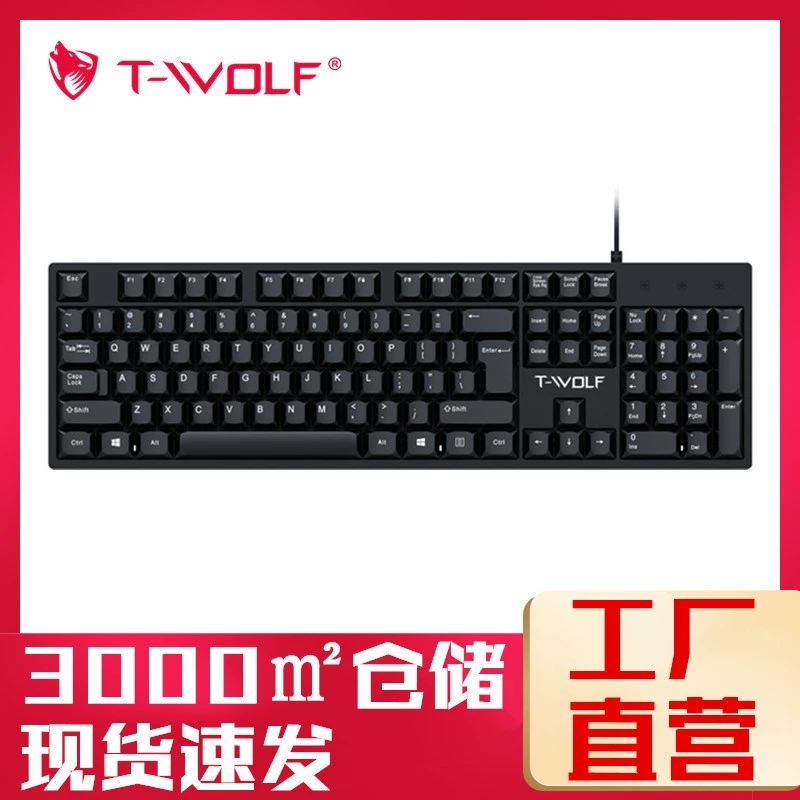 雷狼 (Cross-border trading), keyboard, T15, Spain, business version