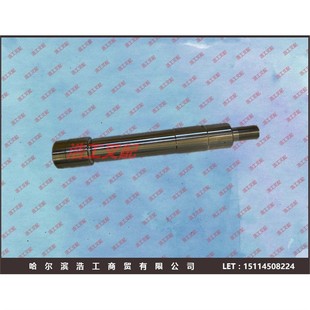 3024530216 Linde forklift HT25HT30H25H30 steering vertical axle rear axle kingpin king pin