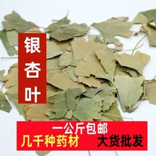 银杏叶中药材银杏茶叶片新货干银杏叶茶正品白果叶银杏一公斤包邮