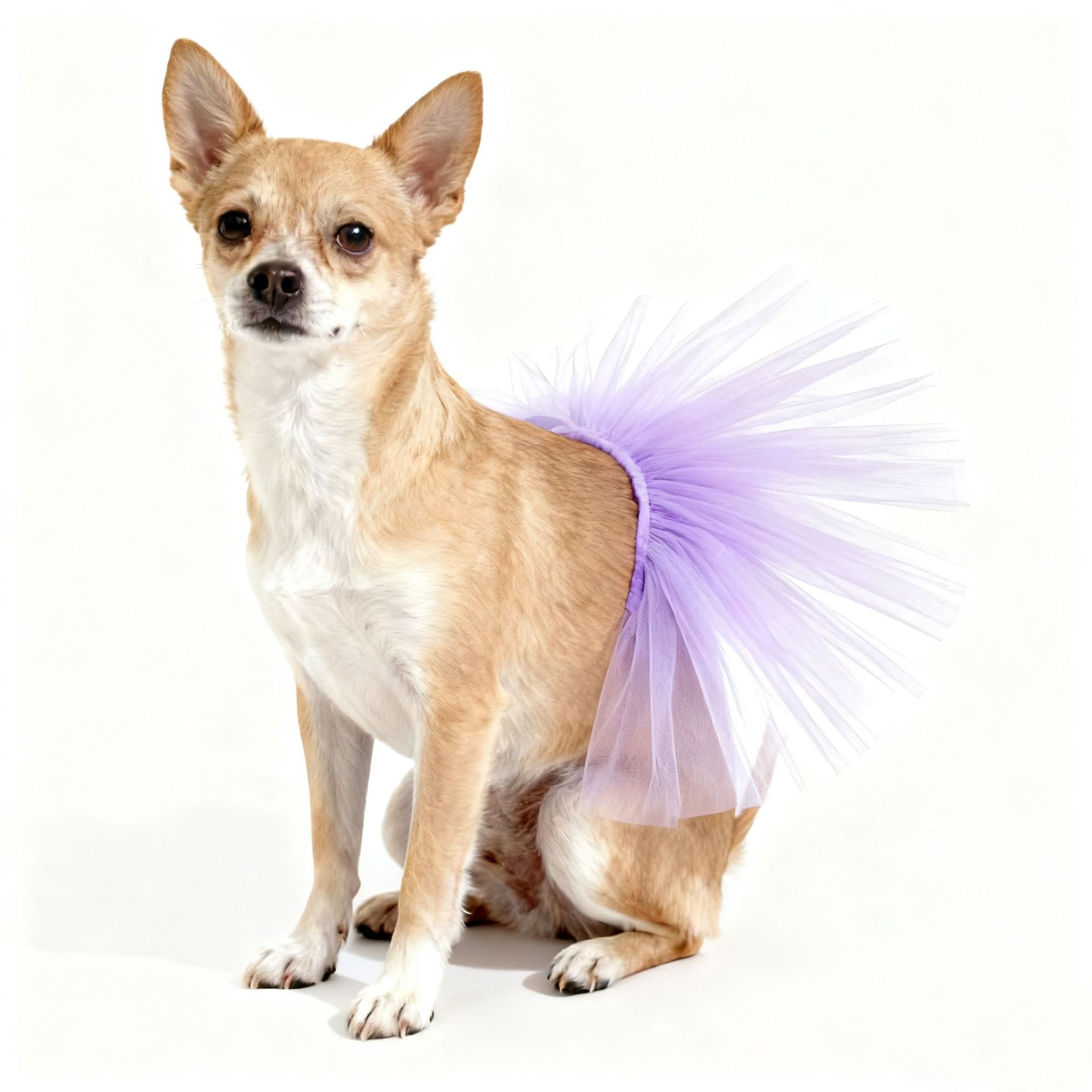 Сетчатая праздничная юбка для кошек и собак Amazon Pet