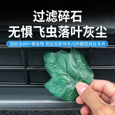 Installation and Modification, Automobile anti-insect net