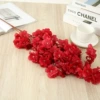 Encrypted cherry blossom red