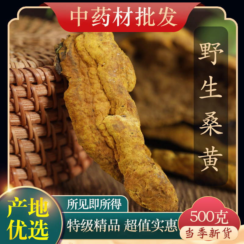 桑黄西藏中药材茶干货小努桑树桑黄孔正宗灵芝泡水500克中药材