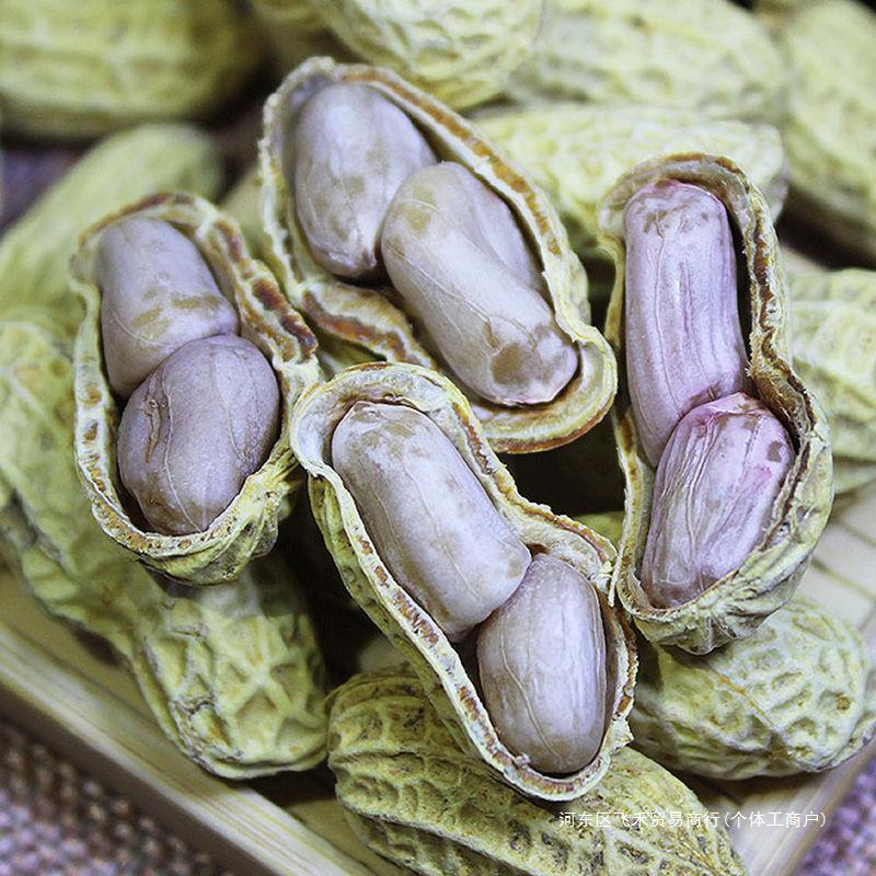 【天日干し茹で落花生】龍岩茹で落花生 ガーリック落花生 五香落花生 茹で塩漬け落花生 塩漬け乾燥落花生|undefined