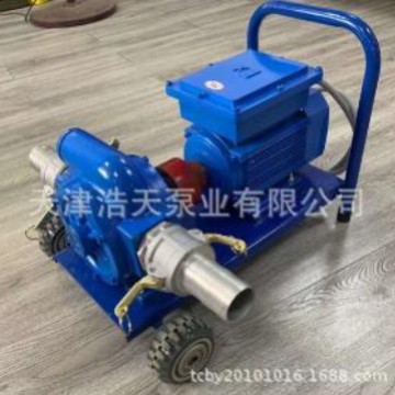 直流防爆油泵TDZL-EX 直流防爆滑片泵 直流防爆齿轮泵 防爆离心泵