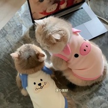 ����ͬ��؈�䴺�������ë�����·������{��u�ӌ��ﱳ���R�ױ���