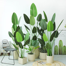 ��������Gɫֲ�����˽��Ž�������������҃ș���ֲ����OӋ�쾰