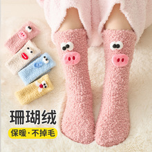 宝宝袜子秋冬新款加厚保暖柔软透气珊瑚绒中筒袜居家不掉毛女童袜