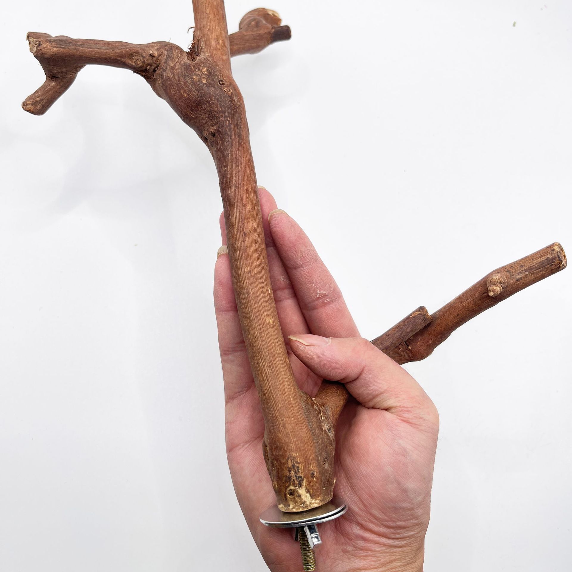 Percha de Madera Natural para Loro y Aves Palo Masticable image 3