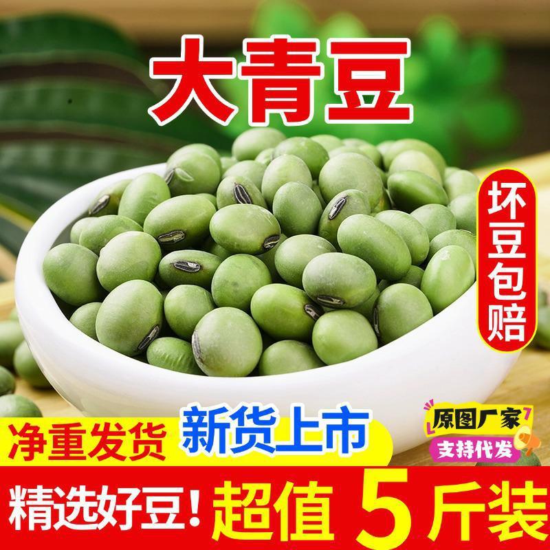 批发双青豆 大青豆 农家自种绿皮豆 青仁大豆黑脐大青豆|undefined