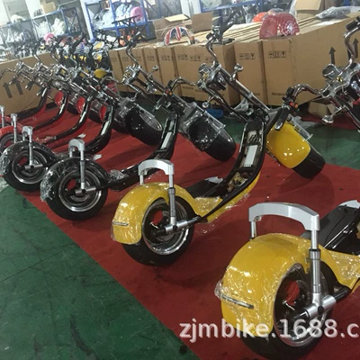 EEC factory direct electric Elektrikli motosikletlər