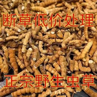 ����Ұ�����x�Ĳݔ��x�ݴ����x�ݲ؅^���x������Ʒ���Ҝ��ݾ���