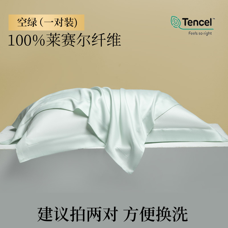 Funda de almohada de verano Tensi Funda de almohada de seda Un par de fundas de almohada de seda de hielo 48cmx74cm2024 Nuevo 2
