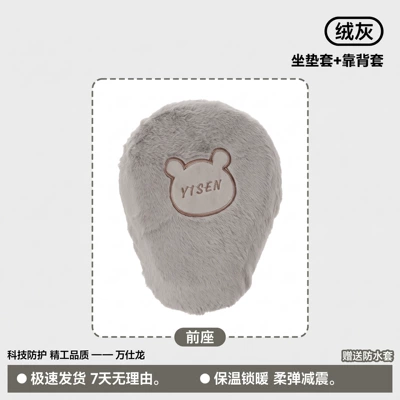 cover for electric vehicles, Electric car cushion - brown-color-front-seat-no-options