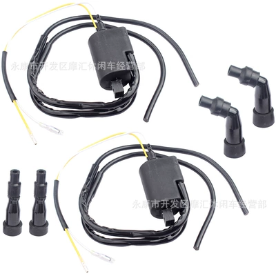 Package Ignition Coil, Alovlanma bobini (Babinalar)