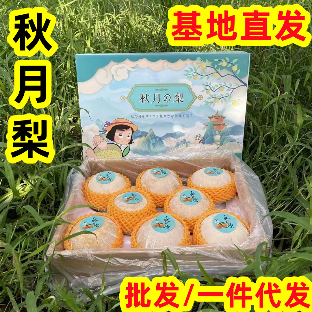 微信图片_20220818010616_副本_副本