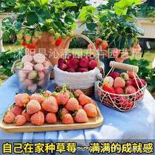 羳؛ͲݮNļ̨ԲݮNˮ҃ȷNֲr