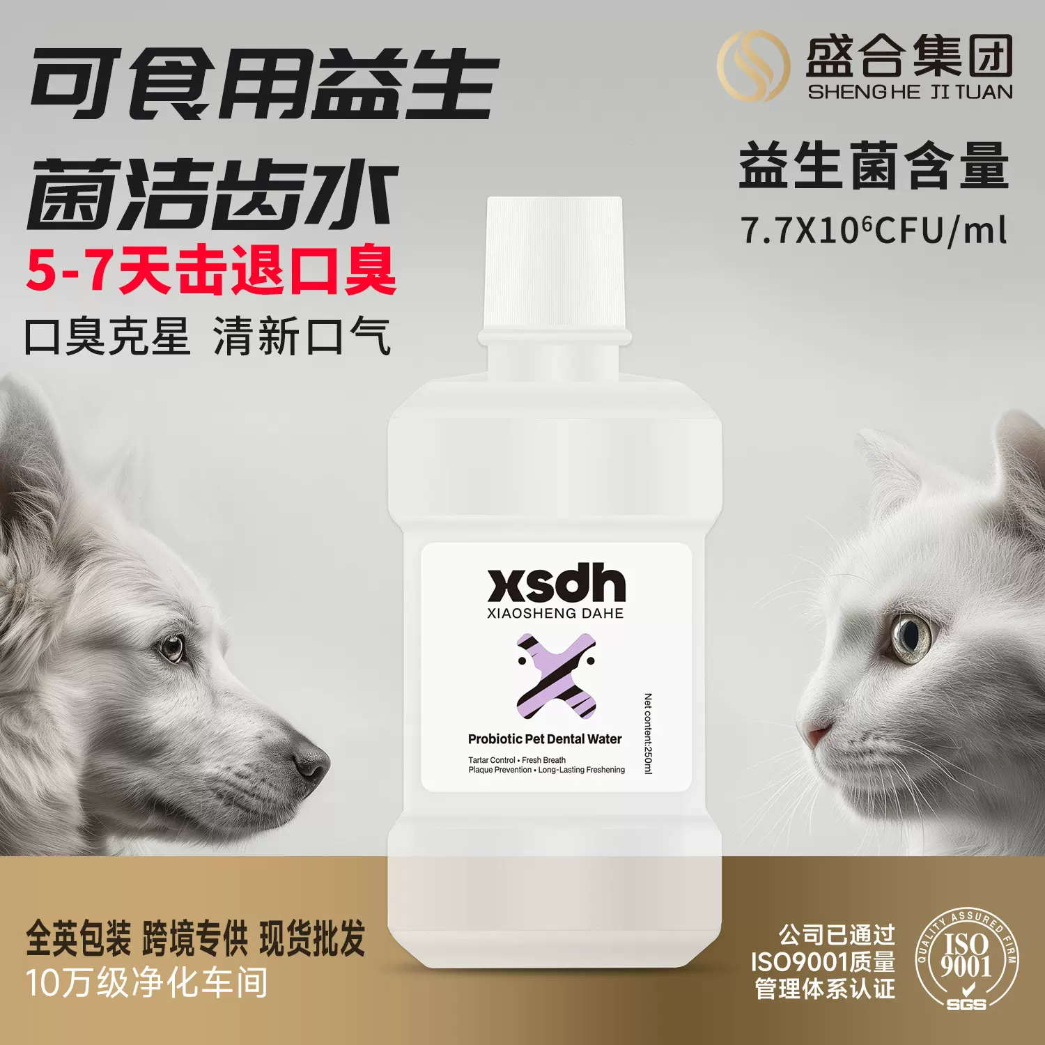 跨境专供宠物漱口水猫狗口腔清洁除口臭牙垢宠物洁齿水现货代发