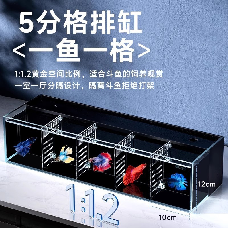 yee超白鬥魚缸玻璃多格隔離背濾免換水客廳小型生態泰國鬥魚排缸