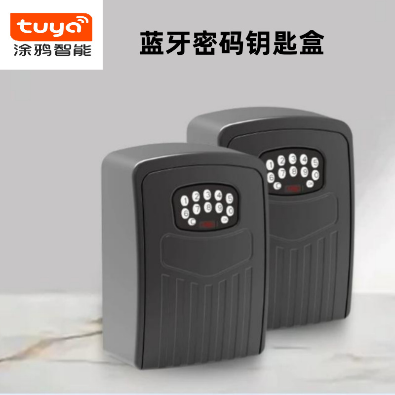 跨境专供户外壁挂式智能钥匙盒金属密码涂鸦蓝牙远程共享储物盒​